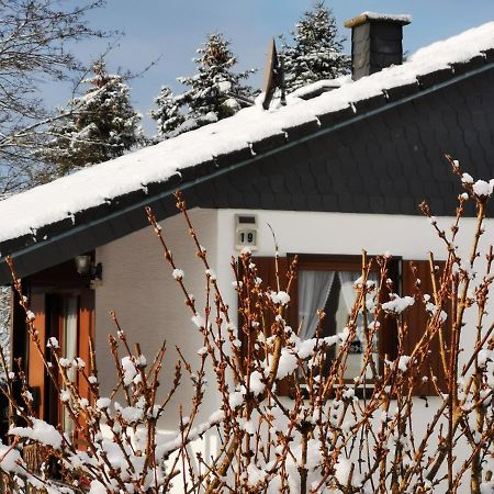 Bb19 Eifel-Ferienhaus Am Moseltal Mit Saunahaus Beuren  Esterno foto