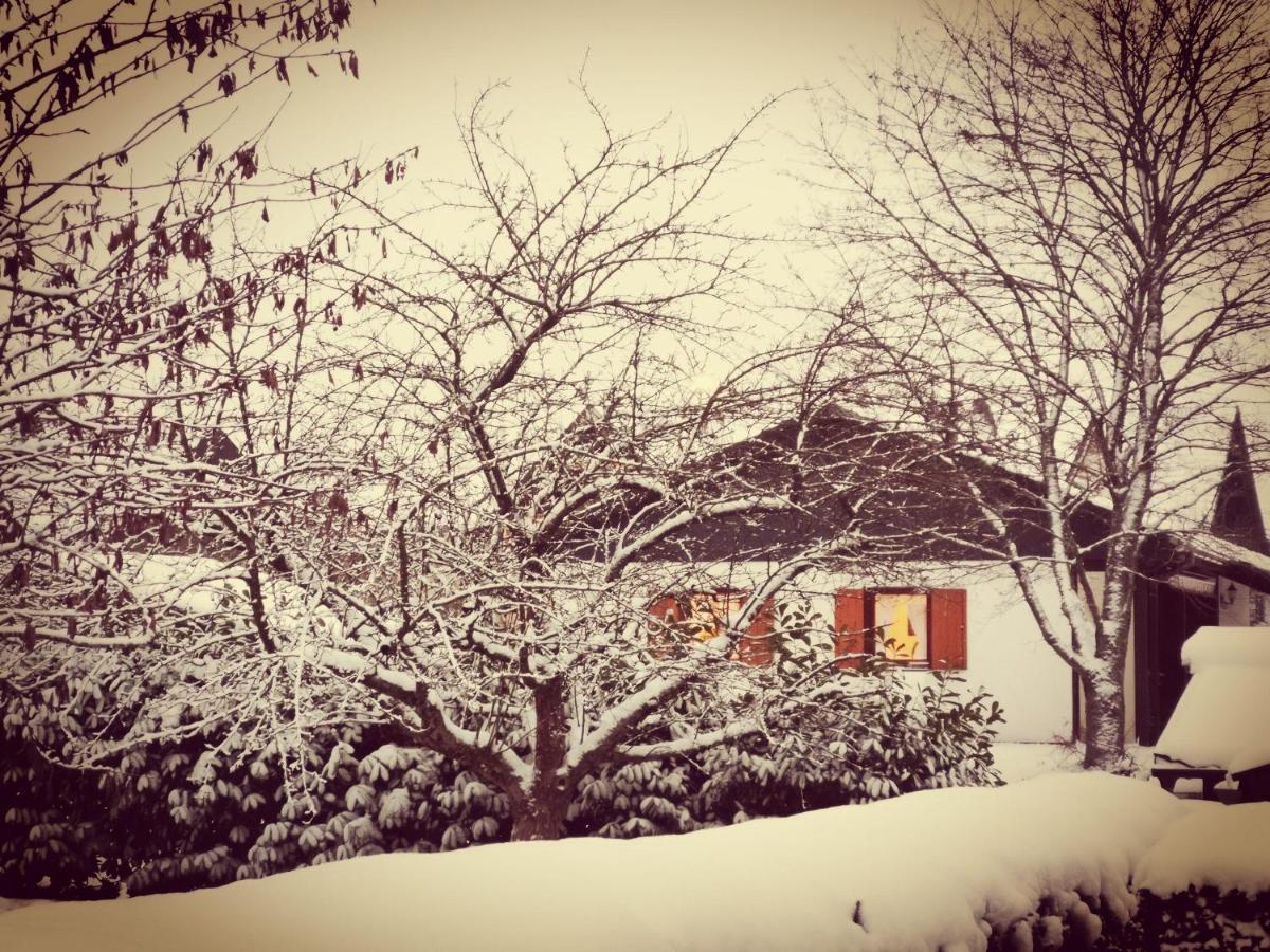 Bb19 Eifel-Ferienhaus Am Moseltal Mit Saunahaus Beuren  Esterno foto