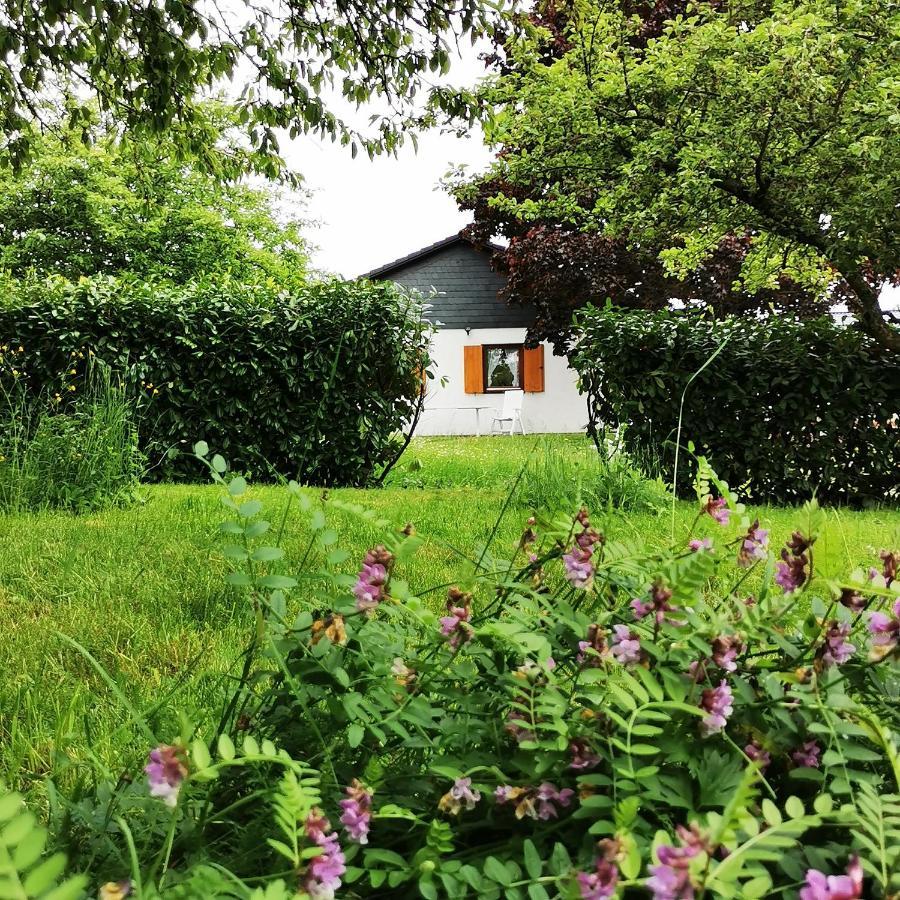 Bb19 Eifel-Ferienhaus Am Moseltal Mit Saunahaus Beuren  Esterno foto