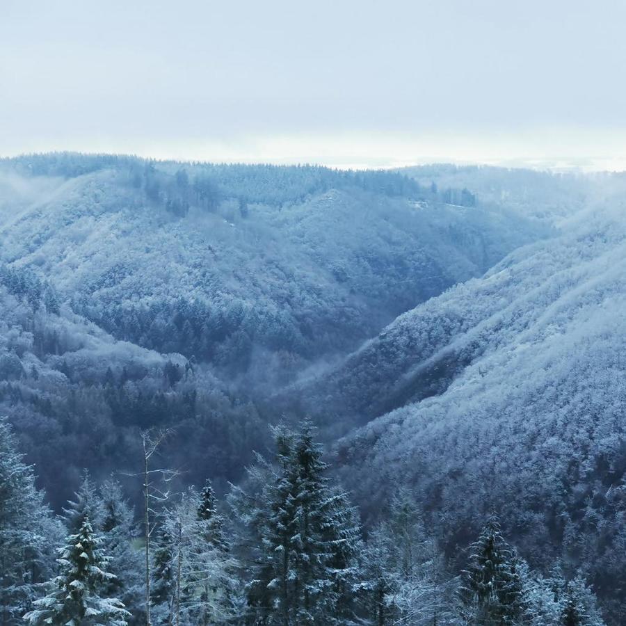 Bb19 Eifel-Ferienhaus Am Moseltal Mit Saunahaus Beuren  Esterno foto